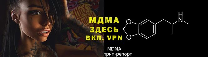 мяу мяу мука Богданович