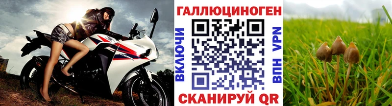 цены Киреевск Псилоцибиновые грибы мицелий